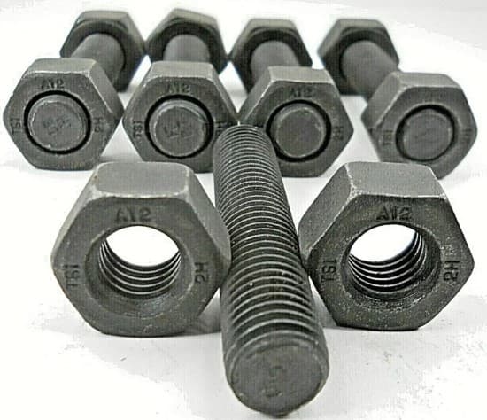 استاد بولت