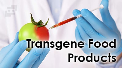 محصولات غذایی تراژن