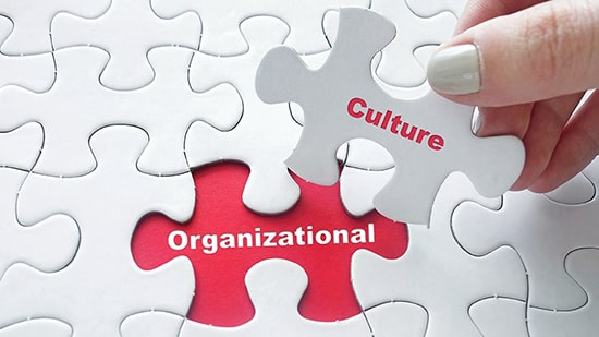 فرهنگ سازمانی چیست؟