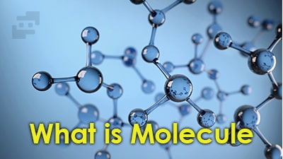 مولکول چیست