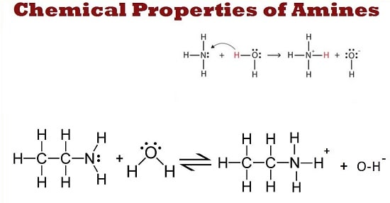 خواص شیمیایی آمین چیست