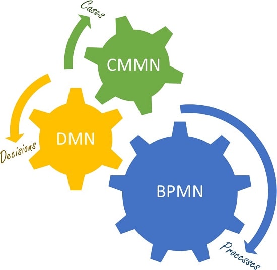 روند پیدایش و تکامل استاندارد dmn