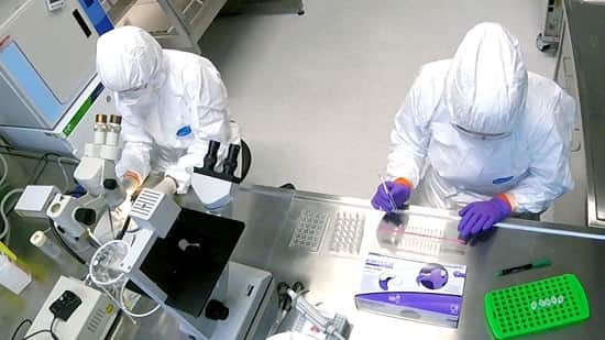 سطح ایمنی زیستی3 (BSL-3)