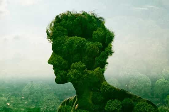 هوش طبیعت گرایانه