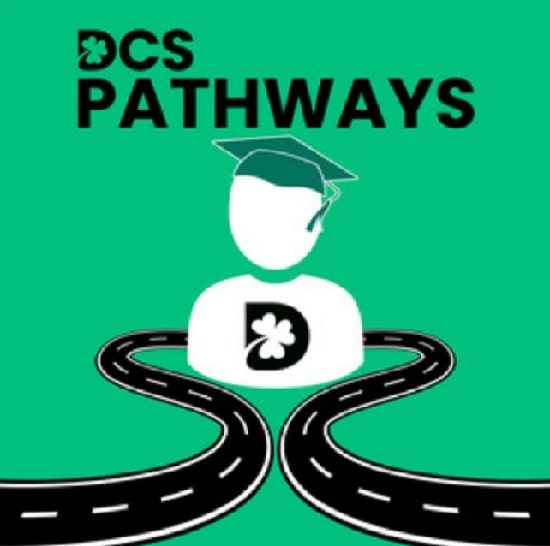 مسیر شغلی DCS